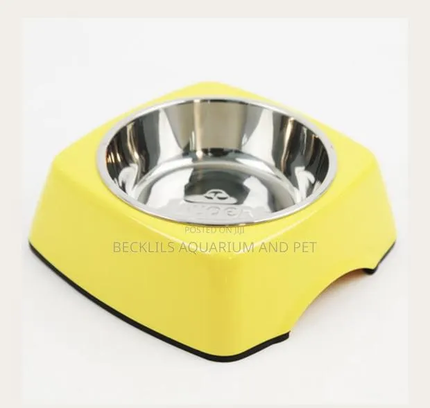 Dog Bowl 2 in 1 Square · Photo 1