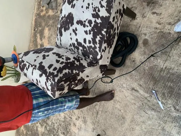 Sofa Cleaning · Photo 1