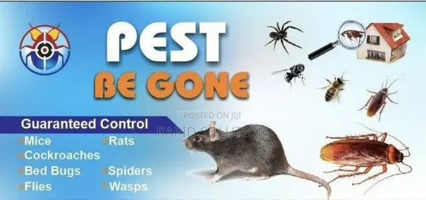 Cockroaches, Snake's, Scorpion, Waljeco Bedbugs Specialist · Photo 1