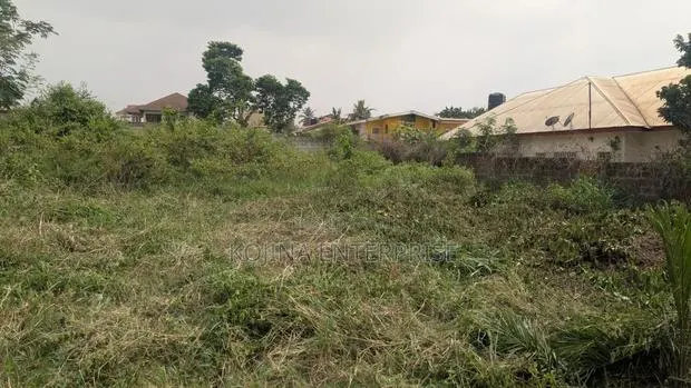 Prime 2 Plots of Land for Sale at Sokoban – Patuda (100×200) · Photo 1