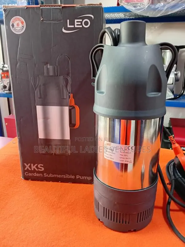 Leo XKS Garden Submersible Pump · Photo 1