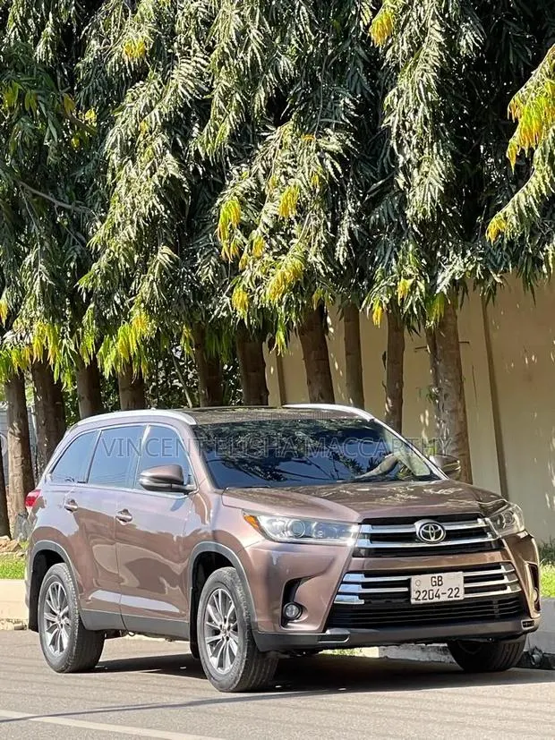 Toyota Highlander 2019 Brown · Photo 1