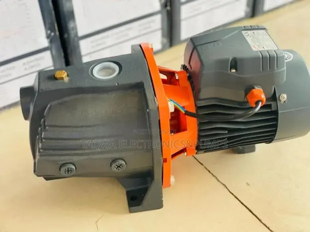 1x1 Inlet Outlet Leo Cast 1.5hp Pump · Photo 1