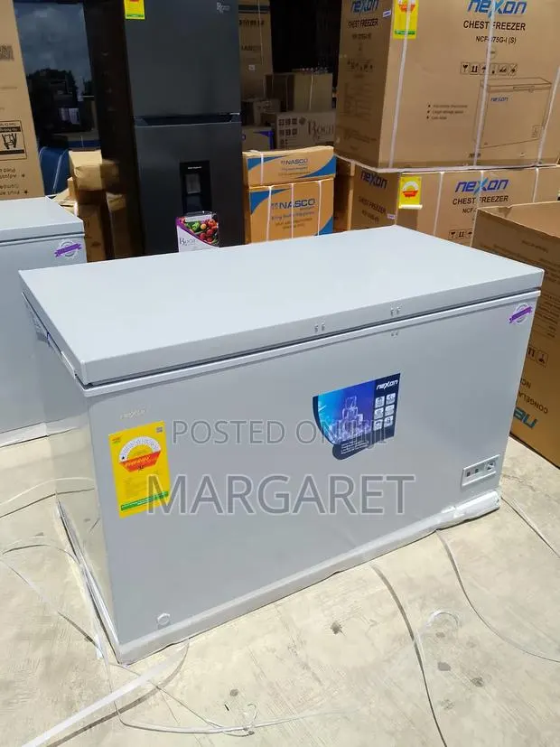 Nexon 380 Litters Chest Freezer · Photo 1