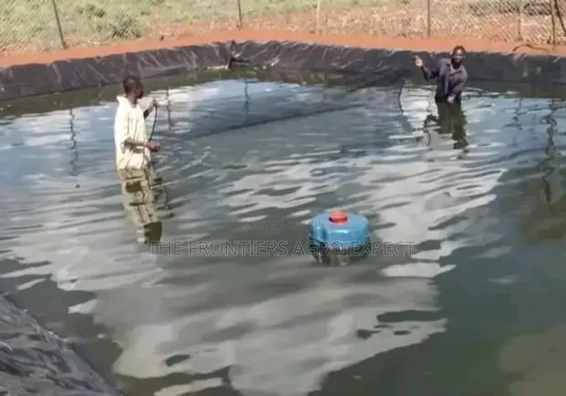 Tilapia Earthen Pond · Photo 1