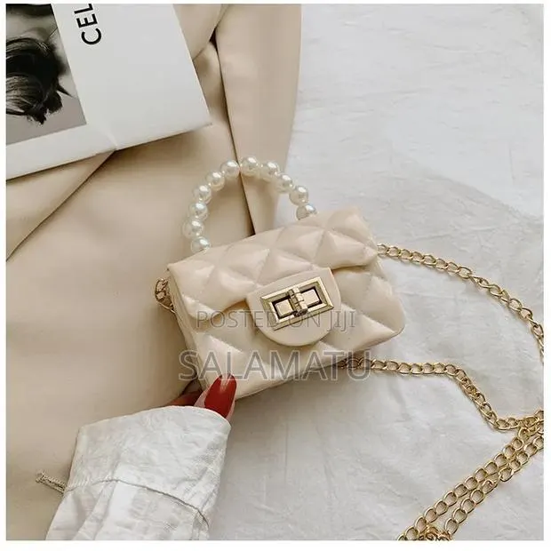 Elegant Mini Handbag · Photo 1