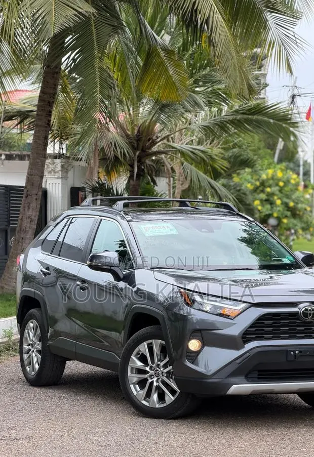 Toyota RAV4 2025 Gray · Photo 1