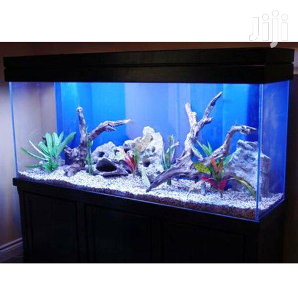 Aquarium Tank · Photo 1