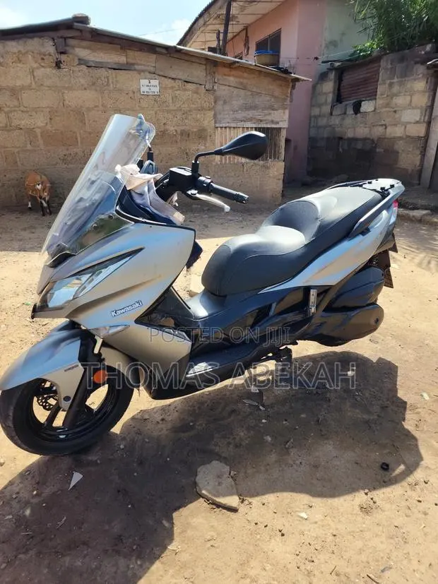 Kawasaki 2021 Silver · Photo 1