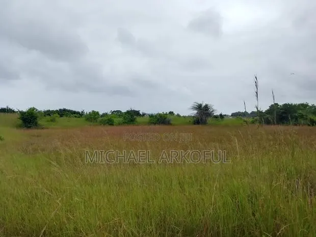 Lakeside Land for Long Lease · Photo 2