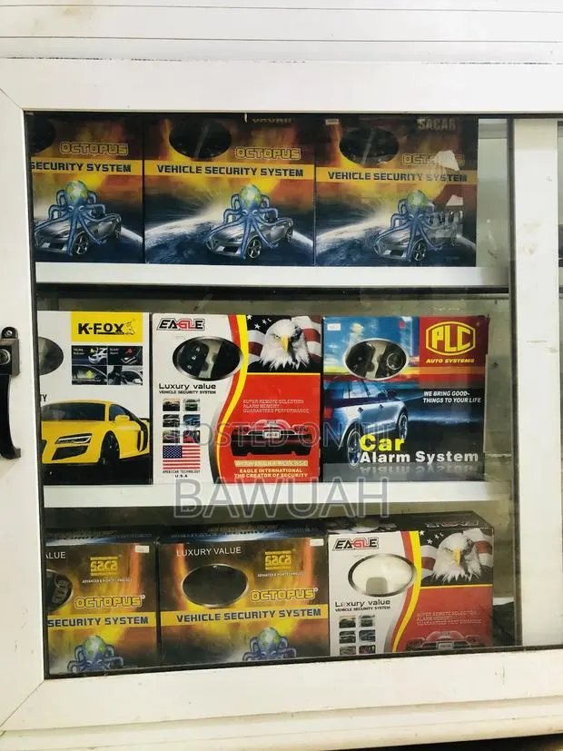 Car Alarm Systems · Photo 1