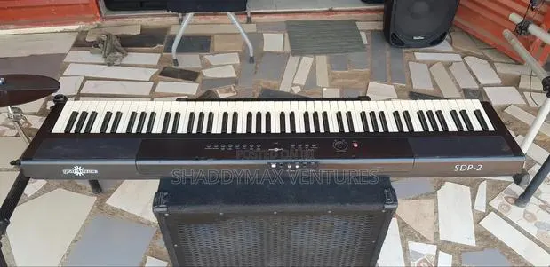 Gear4music SDP-2 · Photo 1