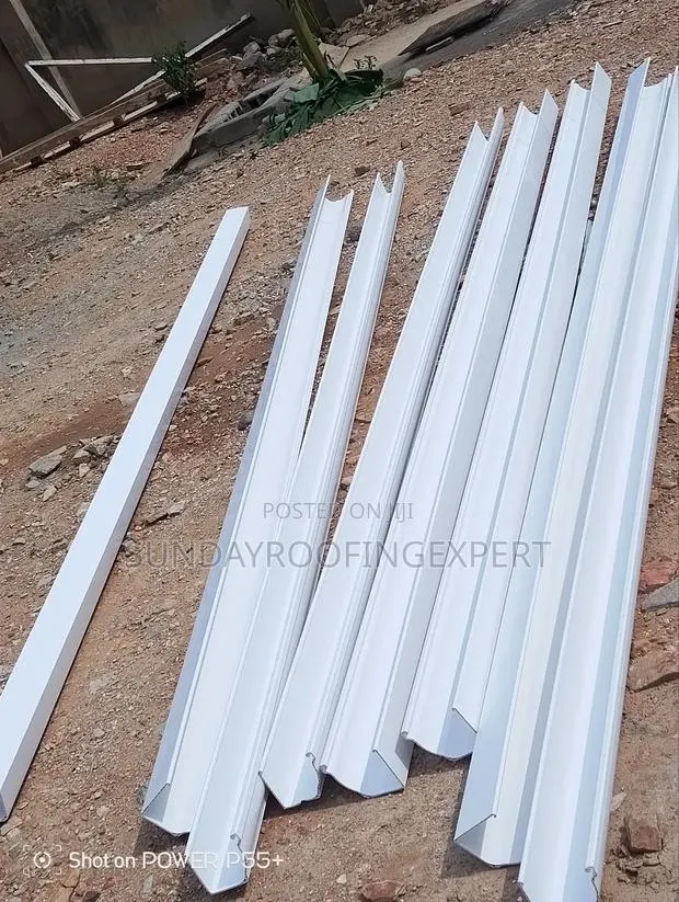 Roof Gutter System