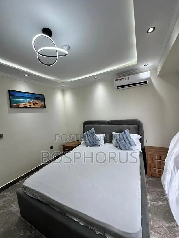 Furnished 2bdrm Apartment in Labone for rent · Photo 1