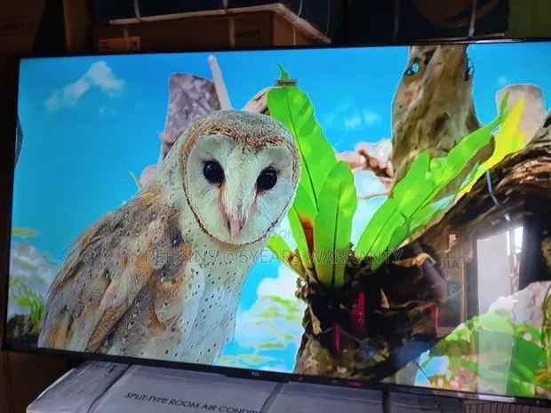 Experience the Ultimate Entertainment Hub With TCL 55 Qled Tv · Photo 1