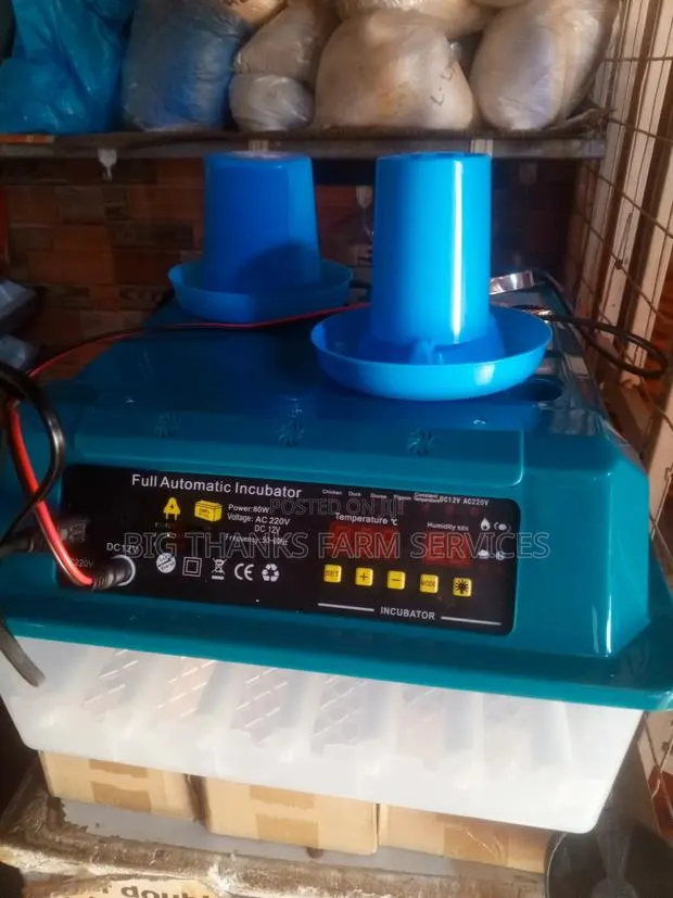 36 Capacity Incubator, Dual Power · Photo 1