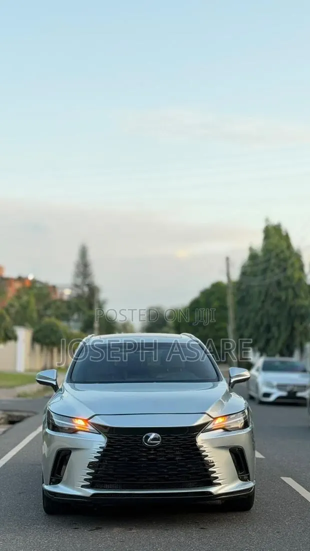 Lexus RX 350 2024 · Photo 1