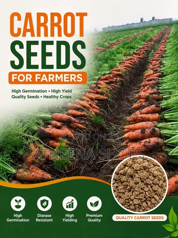 Carrot Seeds (Sweet Variety) F1 · Photo 1