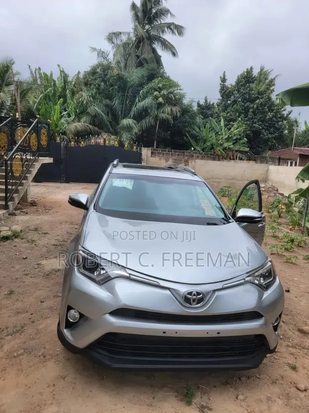 Toyota RAV4 XLE AWD (2.5L 4cyl 6A) 2016 Silver · Photo 1