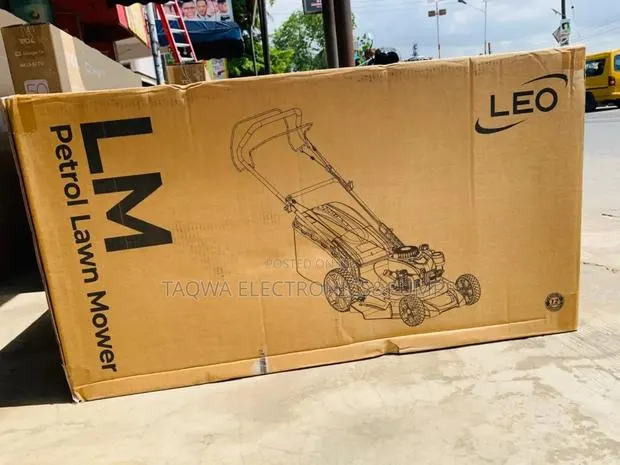 Best Ever Lawn Mower Leo 5.5hp · Photo 1