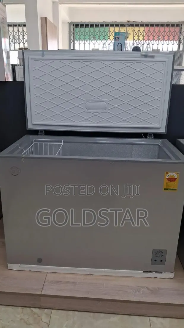 Saya 300L Chest Freezer · Photo 1