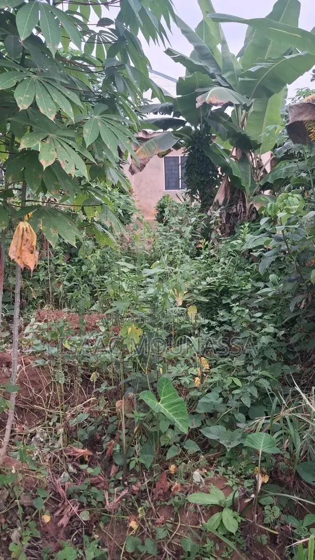 Half Plot of Land at Oyoko Agunaba Hotel · Photo 1