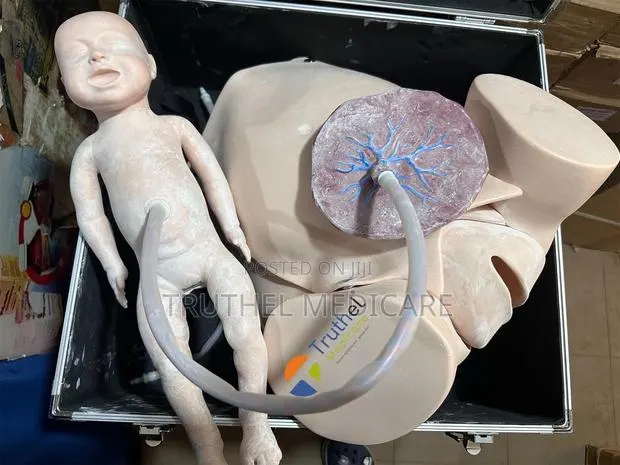 Baby Delivery Dummy (Manual) · Photo 1