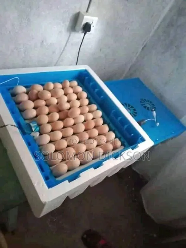 Automatic Egg Incubator · Photo 1