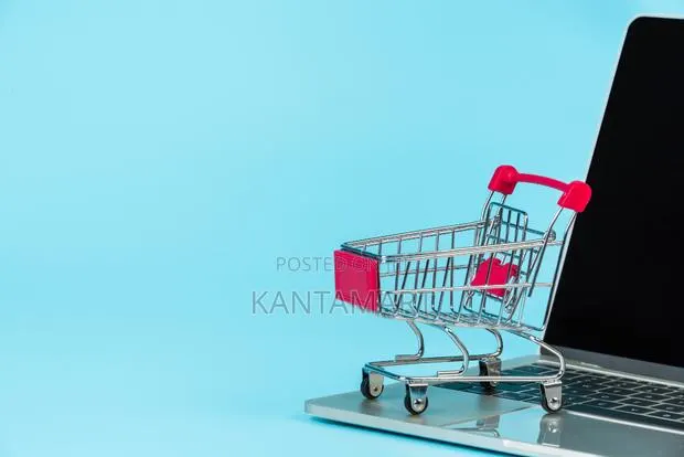 I Will Create an Ecommerce Web Application for You · Photo 1