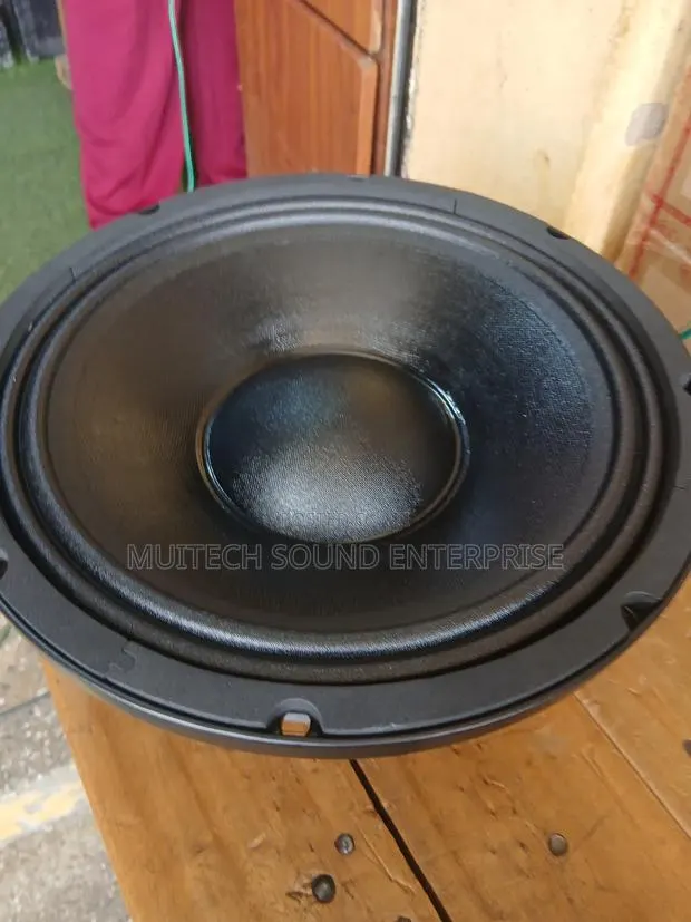 Single Magnet Naked Speaker 10 Inches · Photo 1