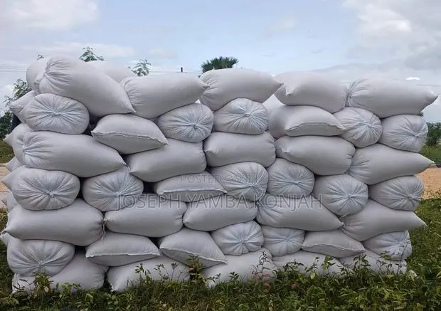 Yellow Maize Available in 50kgs · Photo 1