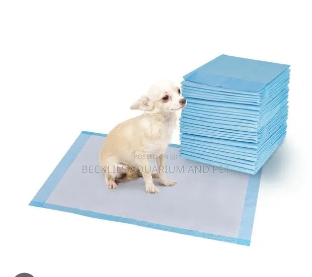 Thick Potty Training Pads for Dogs · Photo 1