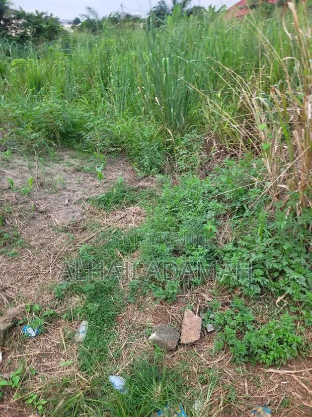 Plot for Sale at Brofoyedro Bebu · Photo 1