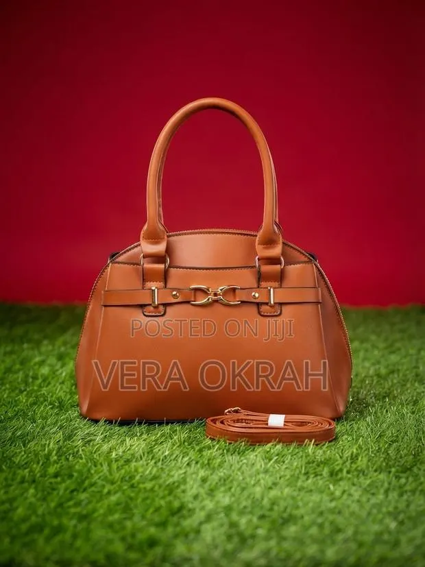 Brown Skin Bag · Photo 1