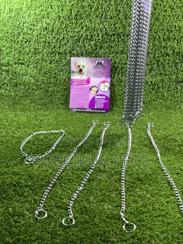 Choker For Puppy Large Dogs And Adult Toy Dogs · Photo 2
