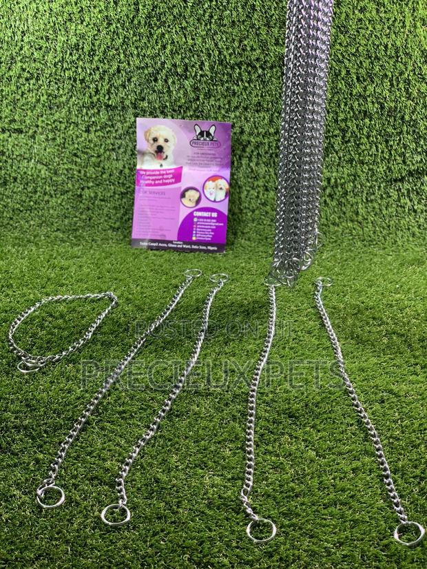 Choker For Puppy Large Dogs And Adult Toy Dogs · Photo 1