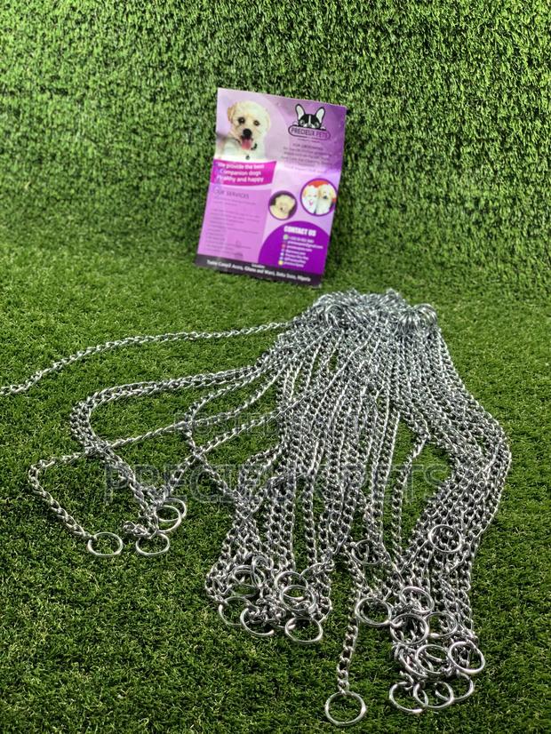 Choker For Puppy Large Dogs And Adult Toy Dogs · Photo 5