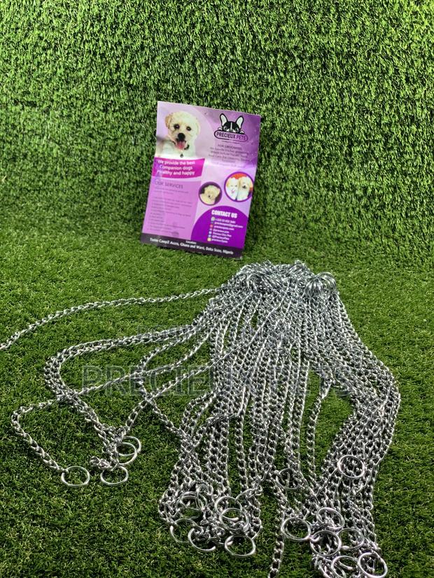 Choker For Puppy Large Dogs And Adult Toy Dogs · Photo 6
