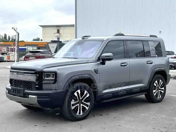 Haval Menglong 2025 Gray · Photo 1