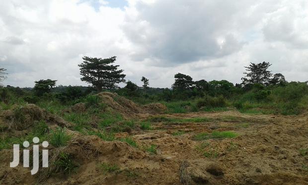 Farmlands,Residential Lands and Cocoa Farmlands · Photo 5