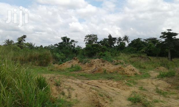 Farmlands,Residential Lands and Cocoa Farmlands · Photo 7