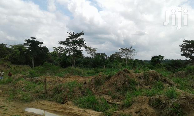 Farmlands,Residential Lands and Cocoa Farmlands · Photo 6