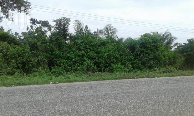 Farmlands,Residential Lands and Cocoa Farmlands · Photo 4