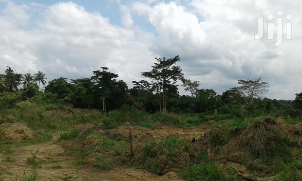 Farmlands,Residential Lands and Cocoa Farmlands · Photo 3