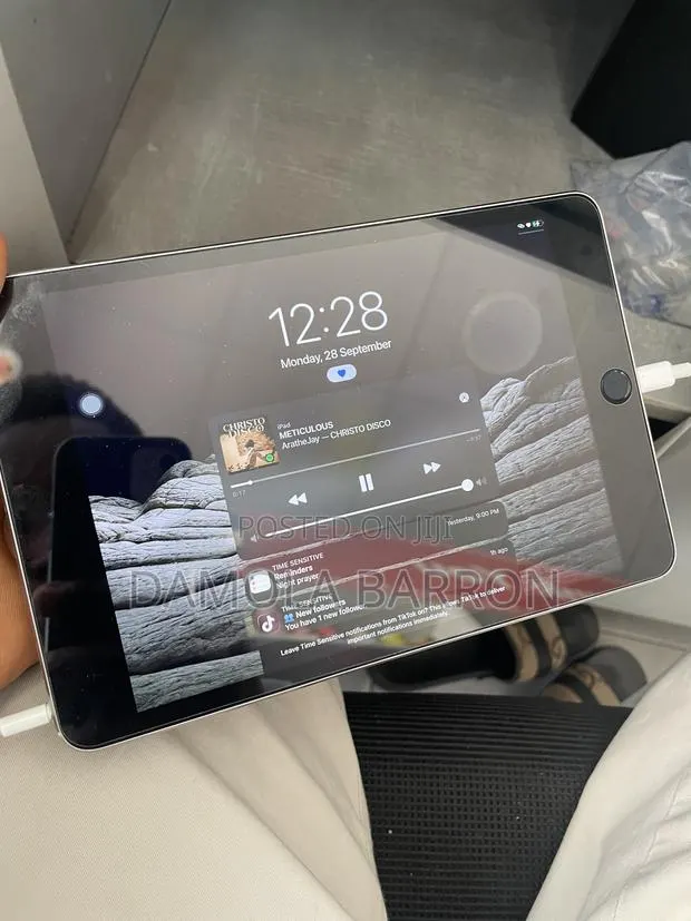 Apple iPad mini 4 16 GB Gray · Photo 1