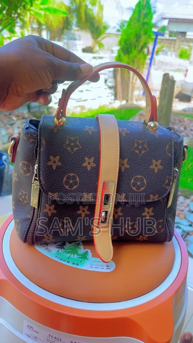 Ladies Handbag · Photo 1