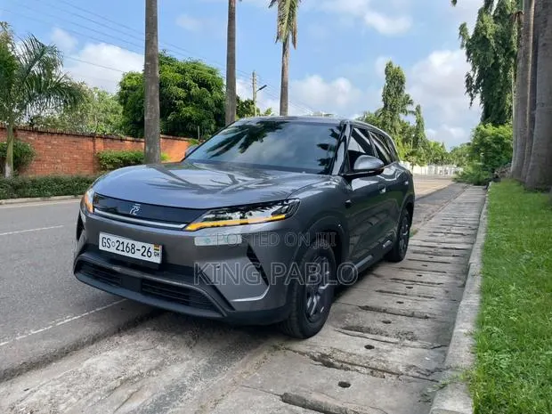 Electric Car for Rentals · Photo 1