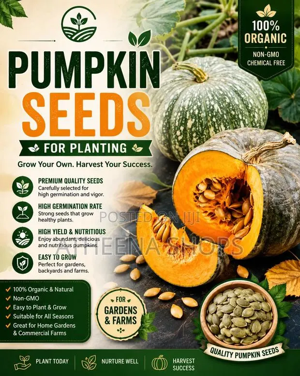 Pumpkin Seeds · Photo 1