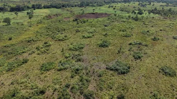 51 Acres of Farmland for Sale – Dromankuma, Bono East · Photo 1