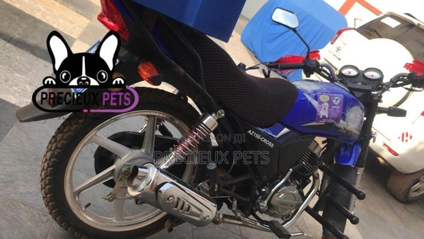 Delivery Bike for Pets and Pets Accessories · Photo 2
